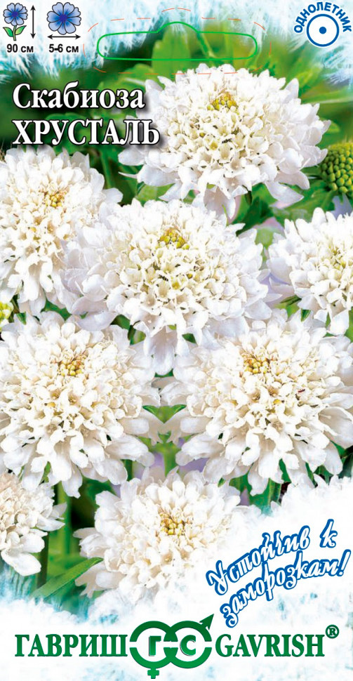 ����  ������ ������ �������� ��������� �������� ��������, 0,2 � �������� � ����������!, ������ �� 35 ���