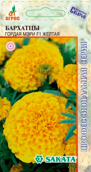 ����  ������ ����� �������� ������ ���� ������ F1, 5 ��. Sakata ���������������� �����, ������ �� 89 ���