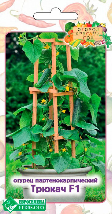 ����  ������ ���������� ������ ������ F1, 5 ��. ������ ������� ���, ������ �� 168 ���