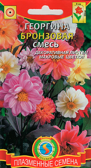 ����  ������ ������� �������� ���������, �����, 12 ��., ������ �� 48 ���