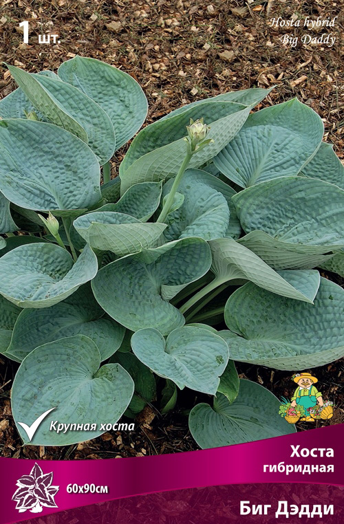 ����  ���������� �������� ����� ��������� ����� ��������� ��� �����, 1 ��., ������ �� 345 ���