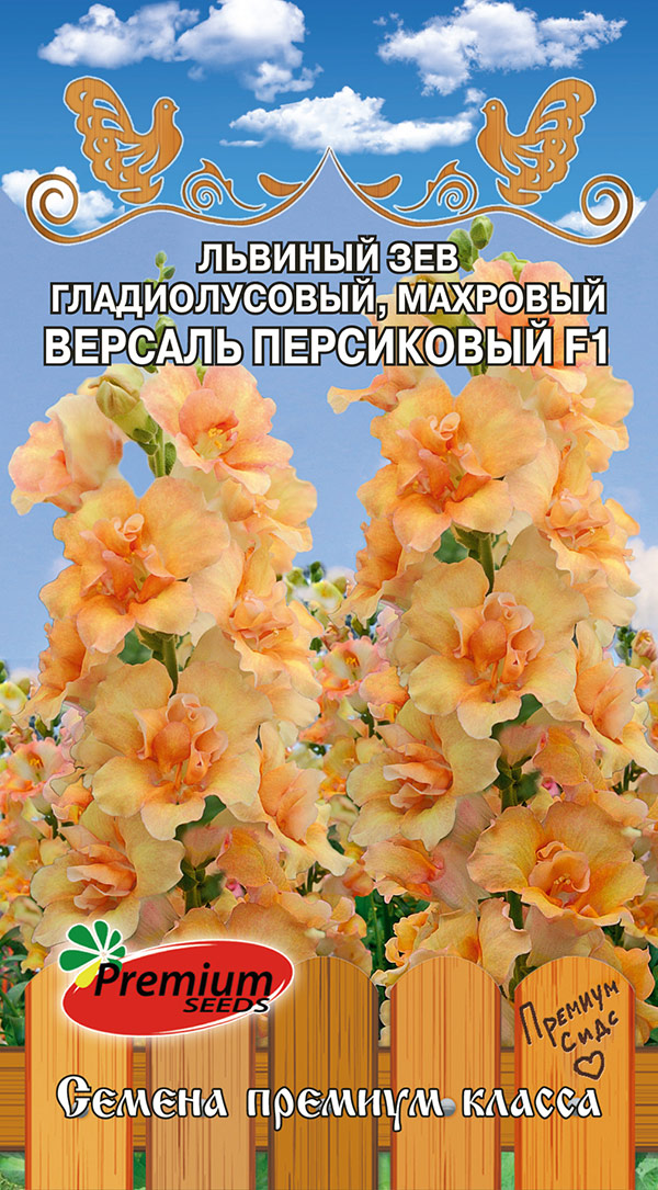 ����  ������ Premium seeds ������� ��� ������������� �������� ������� ���������� F1, 5 ��. ������ �� ������, ������ �� 123 ���