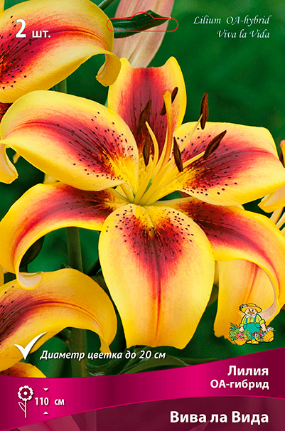 ����  ���������� �������� ����� ��������� ����� ��-������ ���� �� ����, 2 ��., ������ �� 495 ���