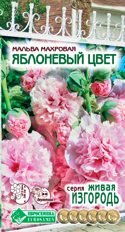 ����  ������ ���������� ������ �������� ��������� ����, 10 ��. ����� ��������, ������ �� 45 ���