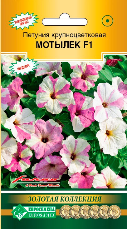 ����  ������ ���������� ������� ��������������� ������� F1, 5 ����� ������� ���������, ������ �� 95 ���