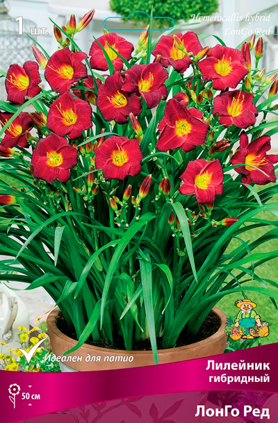 ����  ���������� �������� ����� ��������� �������� ��������� ����� ���, 1 ��. NEW, ������ �� 435 ���