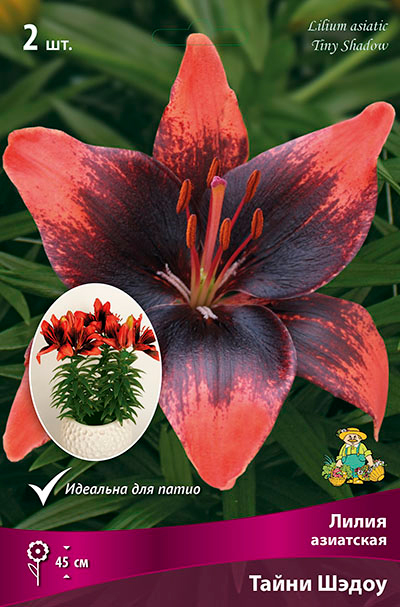 ����  ���������� �������� ����� ��������� ����� ��������� ��������� ����� �����, 2 ��., ������ �� 360 ���