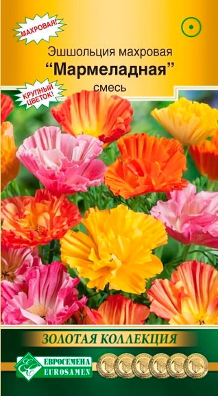 ����  ������ ���������� ��������� �������� �����������, �����, 20 ��. ������� ���������, ������ �� 48 ���