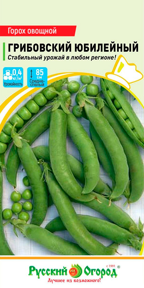 ����  ������ ������� ������ ����� ������� ���������� ���������, 6 �, ������ �� 33 ���