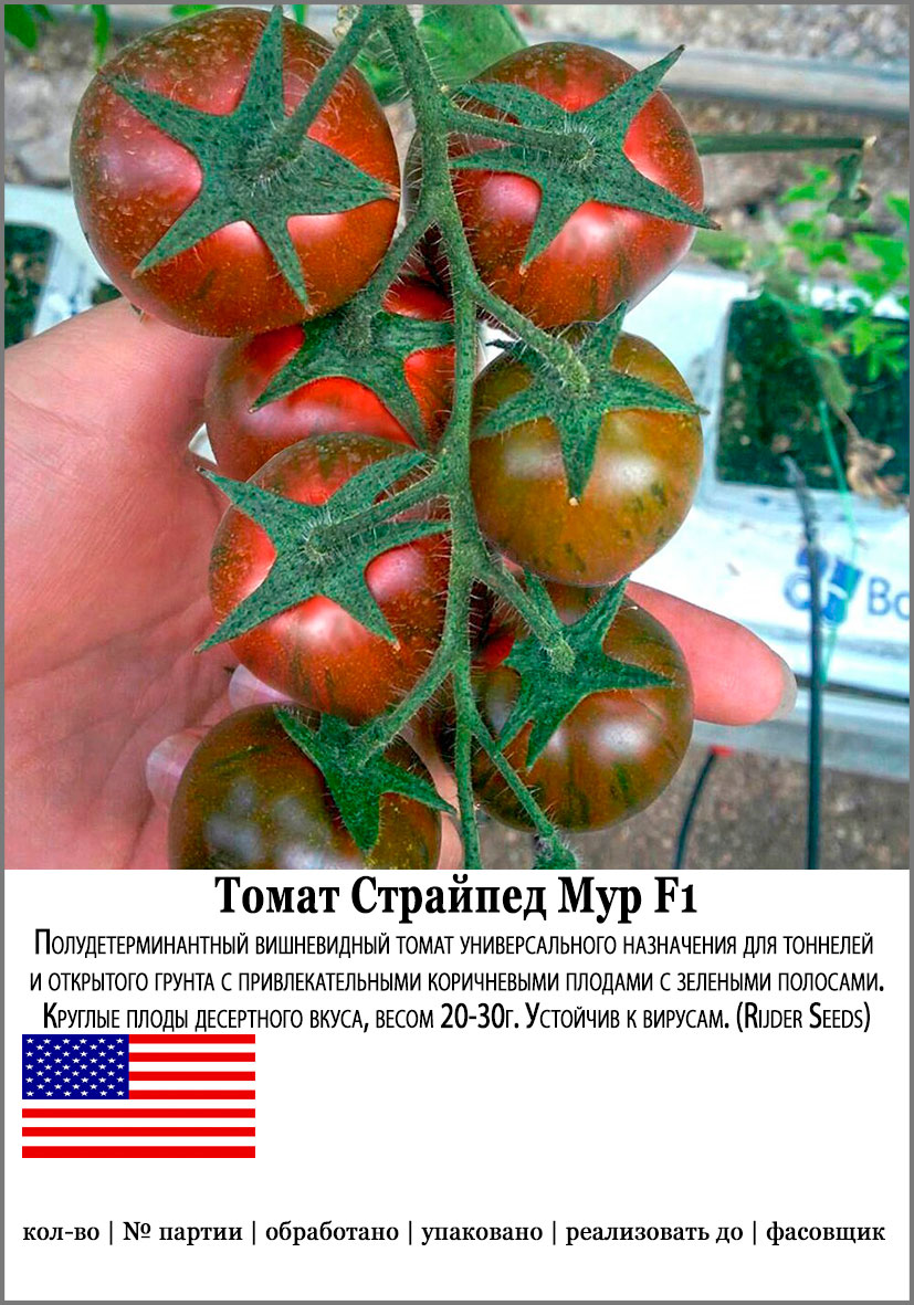 ����  ������ SEEDSPOST ����� �������� ��� F1 5 ��. ������� ���� Ruder Seeds ������� ������, ������ �� 145 ���