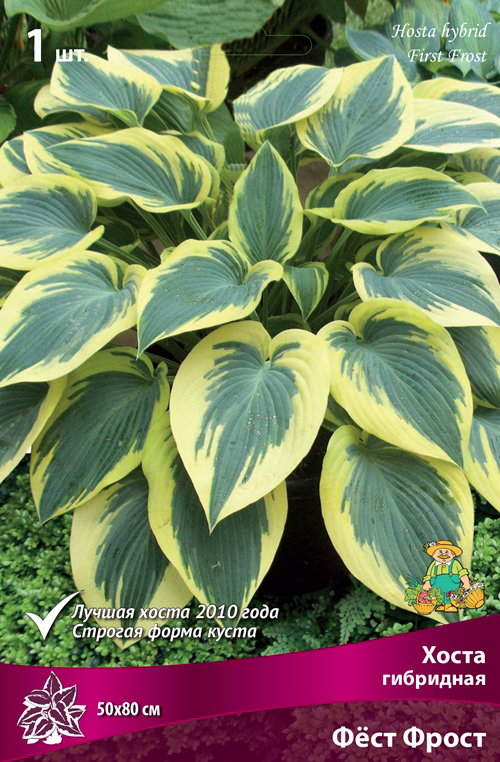 ����  ���������� �������� ����� ��������� ����� ��������� Ԩ�� �����, 1 ��., ������ �� 395 ���