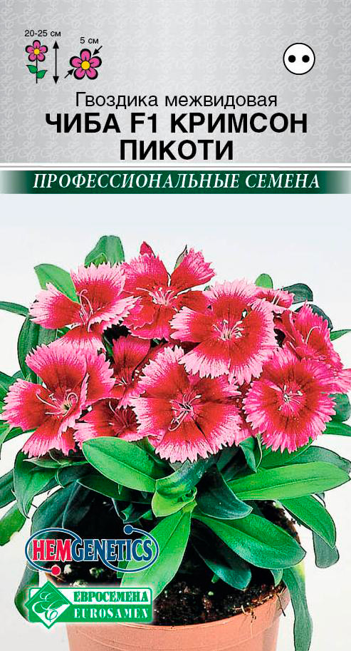 ����  ������ ���������� �������� ���� ������� ������ F1, 5 ��. Hem Genetics ���������������� ������, ������ �� 89 ���