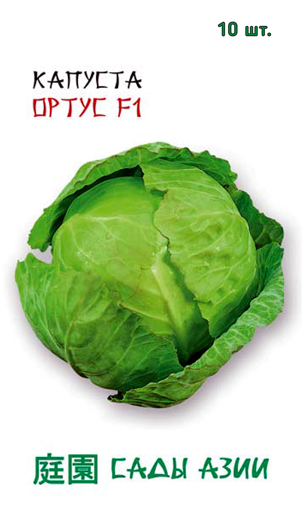 ����  ������ ���� ���� ������� ������������ ����� F1, 10 ��. Takii, ������ �� 75 ���