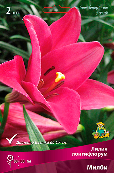 ����  ���������� �������� ����� ��������� ����� ����������� �����, 2 ��., ������ �� 425 ���