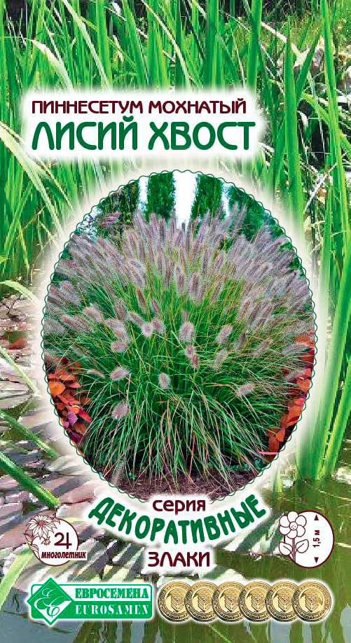 ����  ������ ���������� ���������� �������� ����� �����, 5 ��. ������������ �����, ������ �� 65 ���