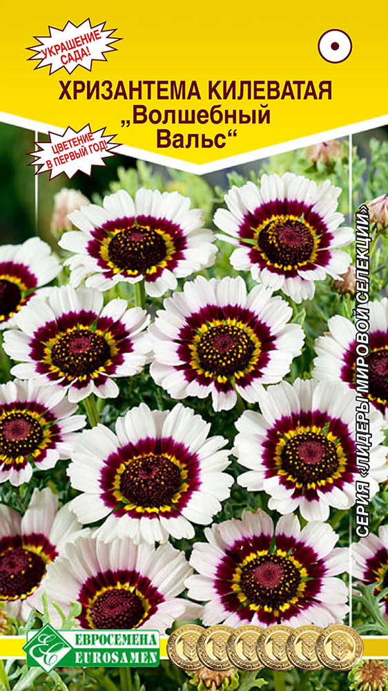 ����  ������ ���������� ���������� ��������� ��������� �����, 0,2 � ������ ������� ��������, ������ �� 35 ���