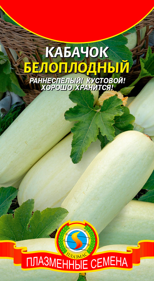 ����  ������ ������� ������� �����������, 11 ��., ������ �� 35 ���