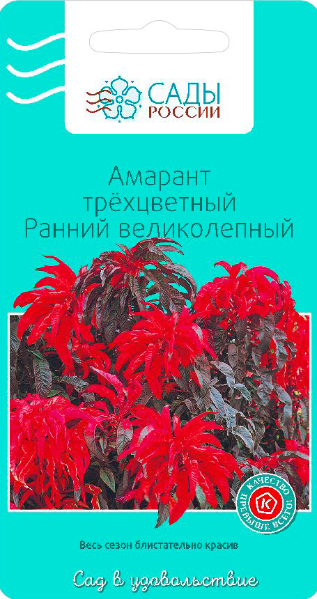 ����  ������ ���� ������ ������� ����������� ������ ������������, 0,1 �, ������ �� 57 ���