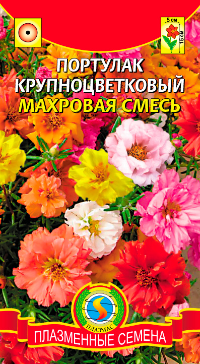 ����  ������ ������� �������� ��������������� ��������, �����, 0,1 �, ������ �� 48 ���