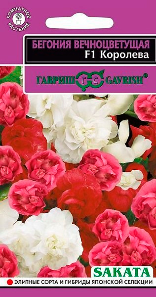 ����  ������ ������ ������� ������������� �������� F1, ����� ��������, 4 ��. Sakata, ������ �� 125 ���