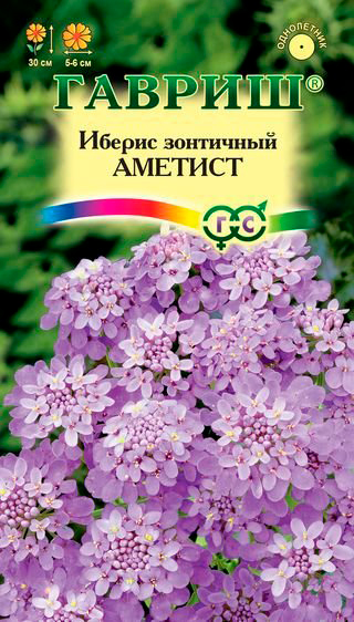 ����  ������ ������ ������ ��������� �������, 0,2 �, ������ �� 35 ���