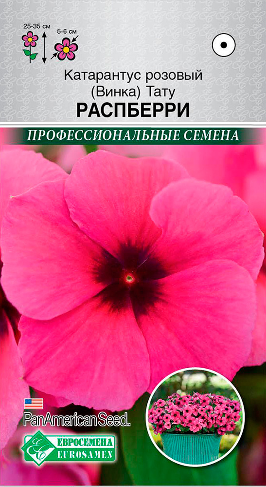 ����  ������ ���������� ���������� ������� (�����) ���� ���������, 5 ��. ���������������� ������, ������ �� 125 ���