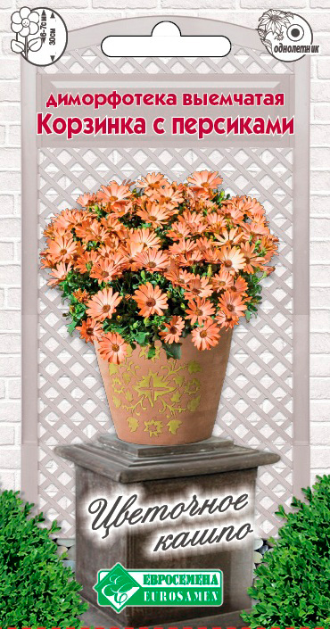 ����  ������ ���������� ����������� ��������� �������� � ���������, 0,2 � ��������� �����, ������ �� 45 ���