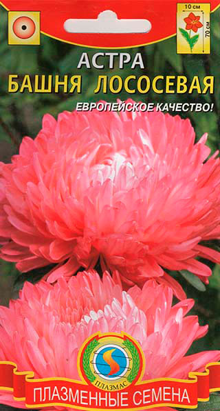 ����  ������ ������� ����� ����� ���������, 0,3 �, ������ �� 35 ���