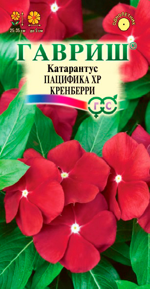 ����  ������ ������ ���������� �������� XP ���������, 5 ��., ������ �� 45 ���