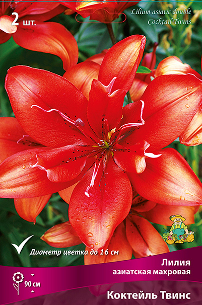 ����  ���������� �������� ����� ��������� ����� ��������� �������� �������� �����, 2 ��., ������ �� 545 ���