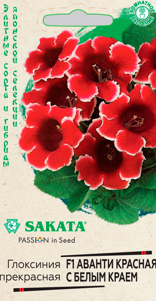           F1, 4 . Sakata    -     , -, 