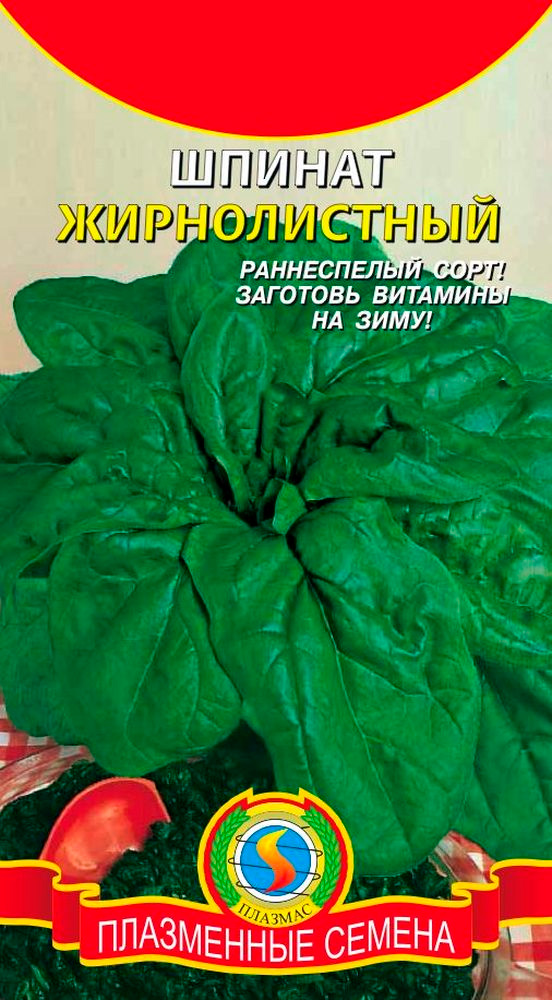 ����  ������ ������� ������ ������������, 2 �, ������ �� 35 ���