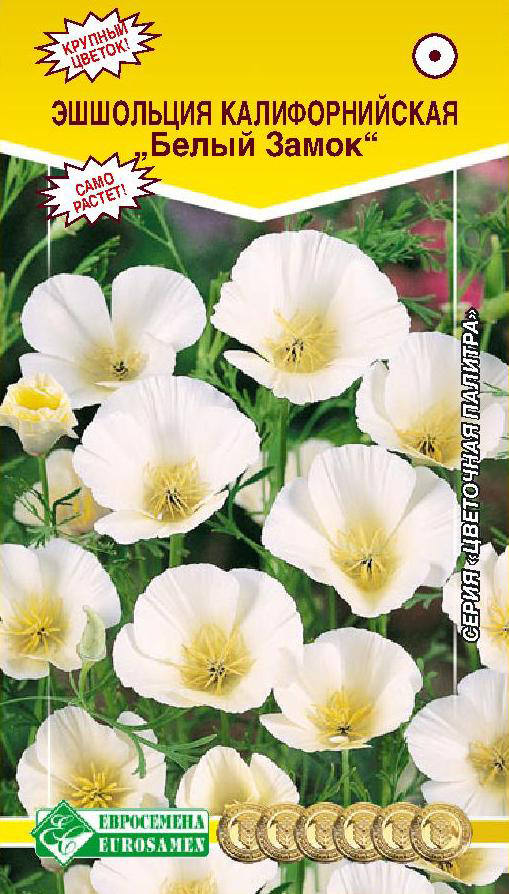 ����  ������ ���������� ��������� �������������� ����� �����, 0,2 �, ������ �� 45 ���