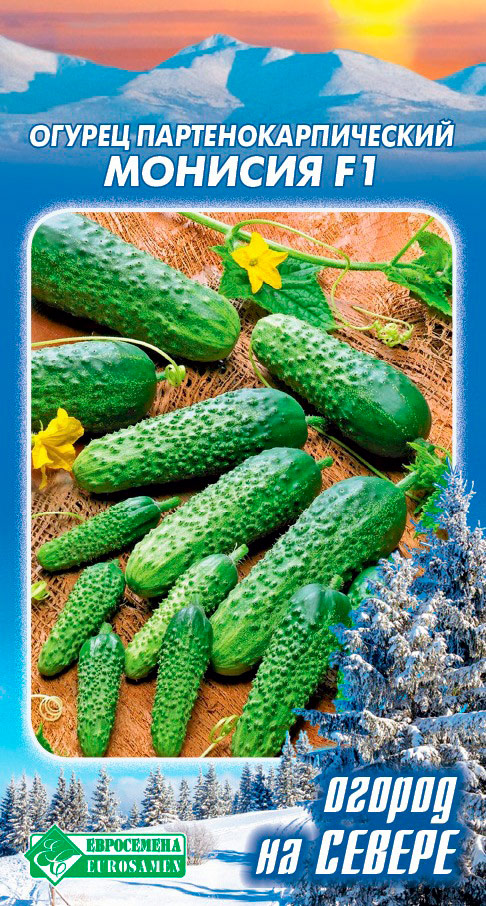 ����  ������ ���������� ������ ������� F1, 5 ��. ������ �� ������, ������ �� 89 ���