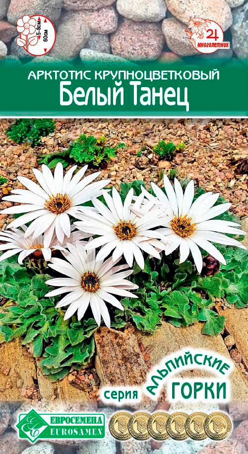 ����  ������ ���������� �������� ��������������� ����� �����, 10 ��. ���������� �����, ������ �� 55 ���