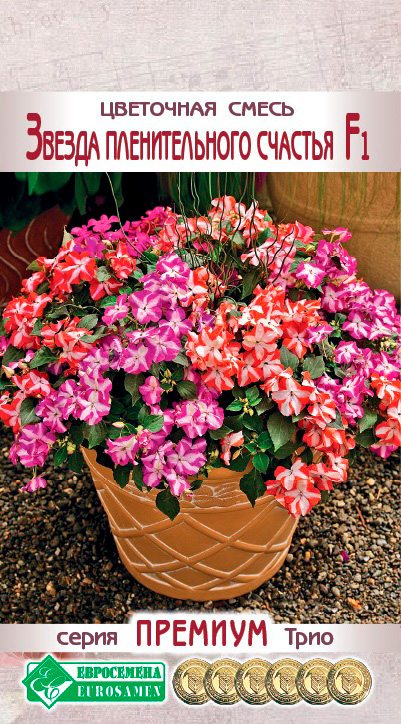 ����  ������ ���������� ��������� ����� ������ ������������� �������, 10 ��. ������� ����, ������ �� 95 ���