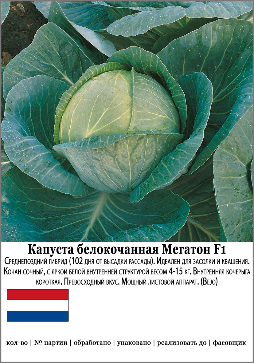 ����  ������ SEEDSPOST ������� ������������ ������� F1, 10 ��. ������� ������, ������ �� 115 ���