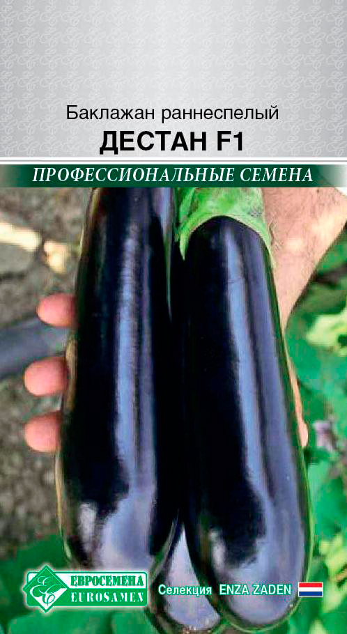       F1, 10 . Enza Zaden  ,   98 