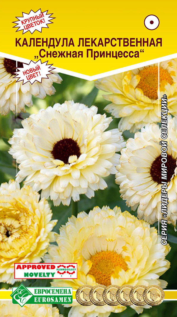 ����  ������ ���������� ��������� ������������� ������� ���������, 0,1 �, ������ �� 65 ���