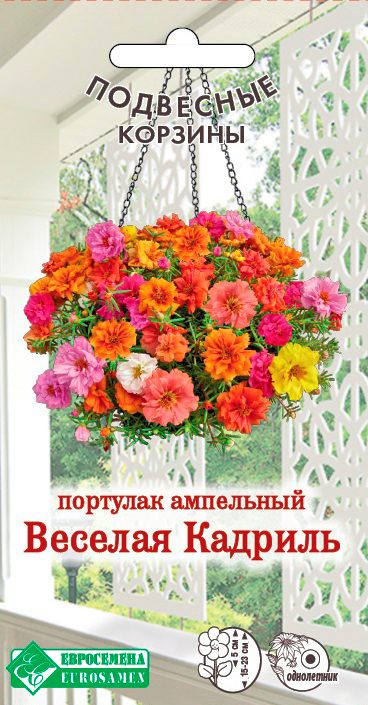 ����  ������ ���������� �������� ��������� ������� �������, 5 ����� ��������� �������, ������ �� 95 ���