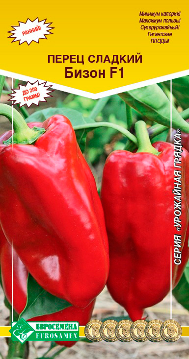 ����  ������ ���������� ����� ������� �����, 15 ��. ��������� ������, ������ �� 80 ���