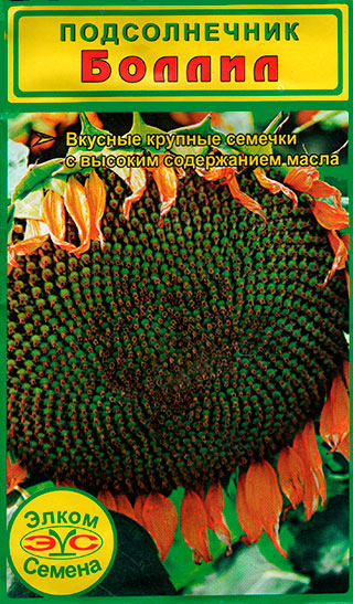 ����  ������ ����� ������ ������������ ������, 2 �, ������ �� 45 ���