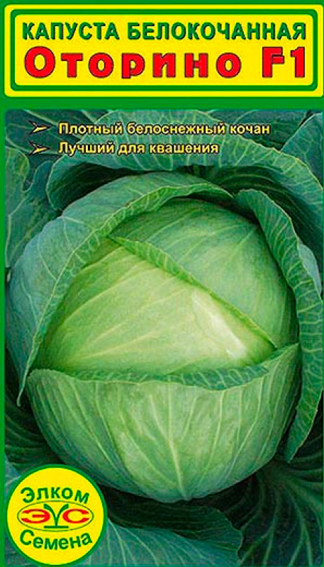 ����  ������ ����� ������ ������� ������������ ������� F1, 15 ��., ������ �� 57 ���