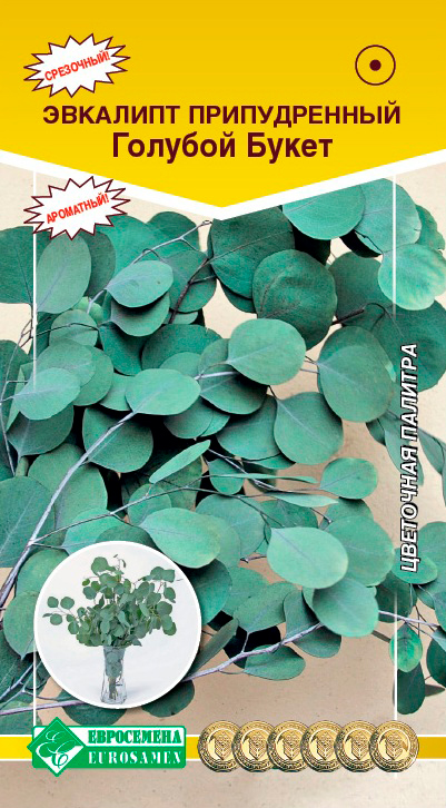 ����  ������ ���������� �������� ������������ ������� �����, 3 ��., ������ �� 125 ���