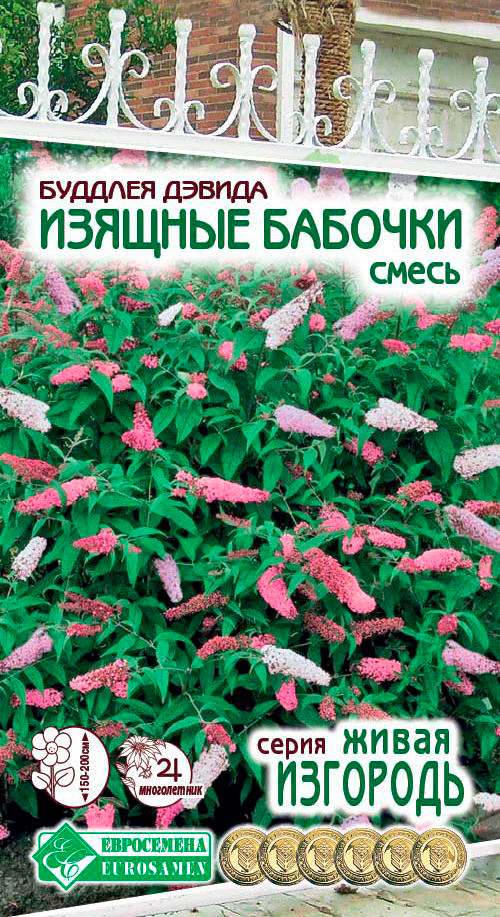 ����  ������ ���������� ������� ������ ������� �������, �����, 8 ��. ����� ��������, ������ �� 75 ���