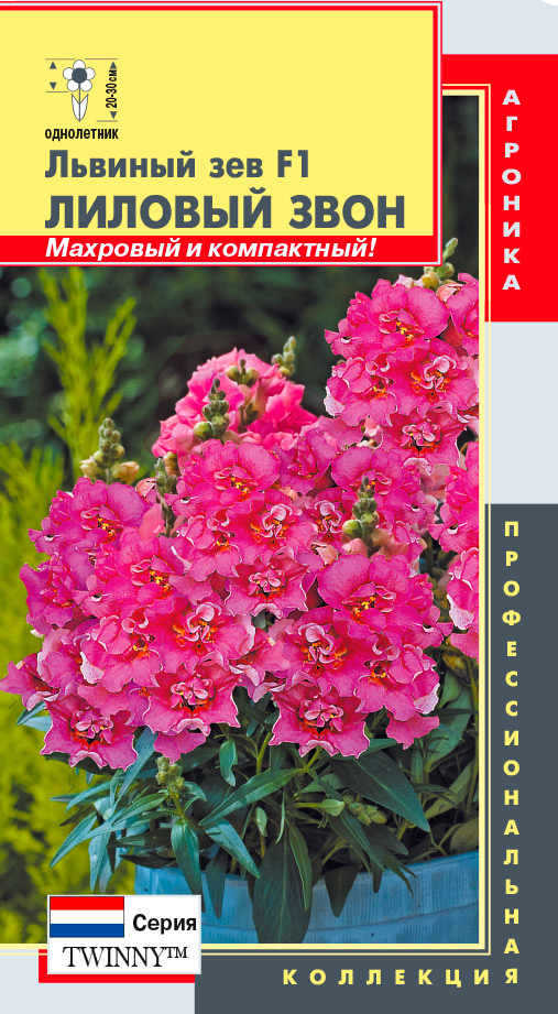 ����  ������ ������� ������� ��� ������ (Twinny�) ������� ���� F1, 10 ��. ���������������� ���������, ������ �� 125 ���