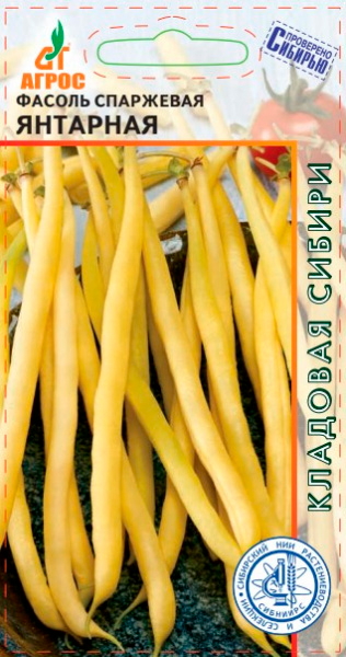 ����  ������ ����� ������ ��������� ��������, 8 � �������� ������, ������ �� 98 ���