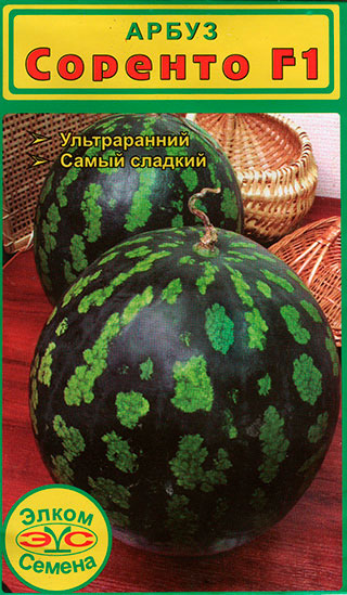 ����  ������ ����� ������ ����� ����������� ������� F1, 5 ��., ������ �� 98 ���