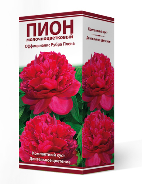 ����  ���������� �������� ����� ��������� ���� ���������������� ����������� ����� �����, 1 ��., ������ �� 850 ���