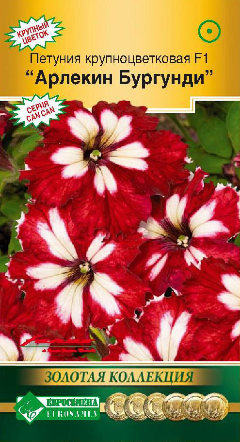         F1, 10  Farao  ,   88 